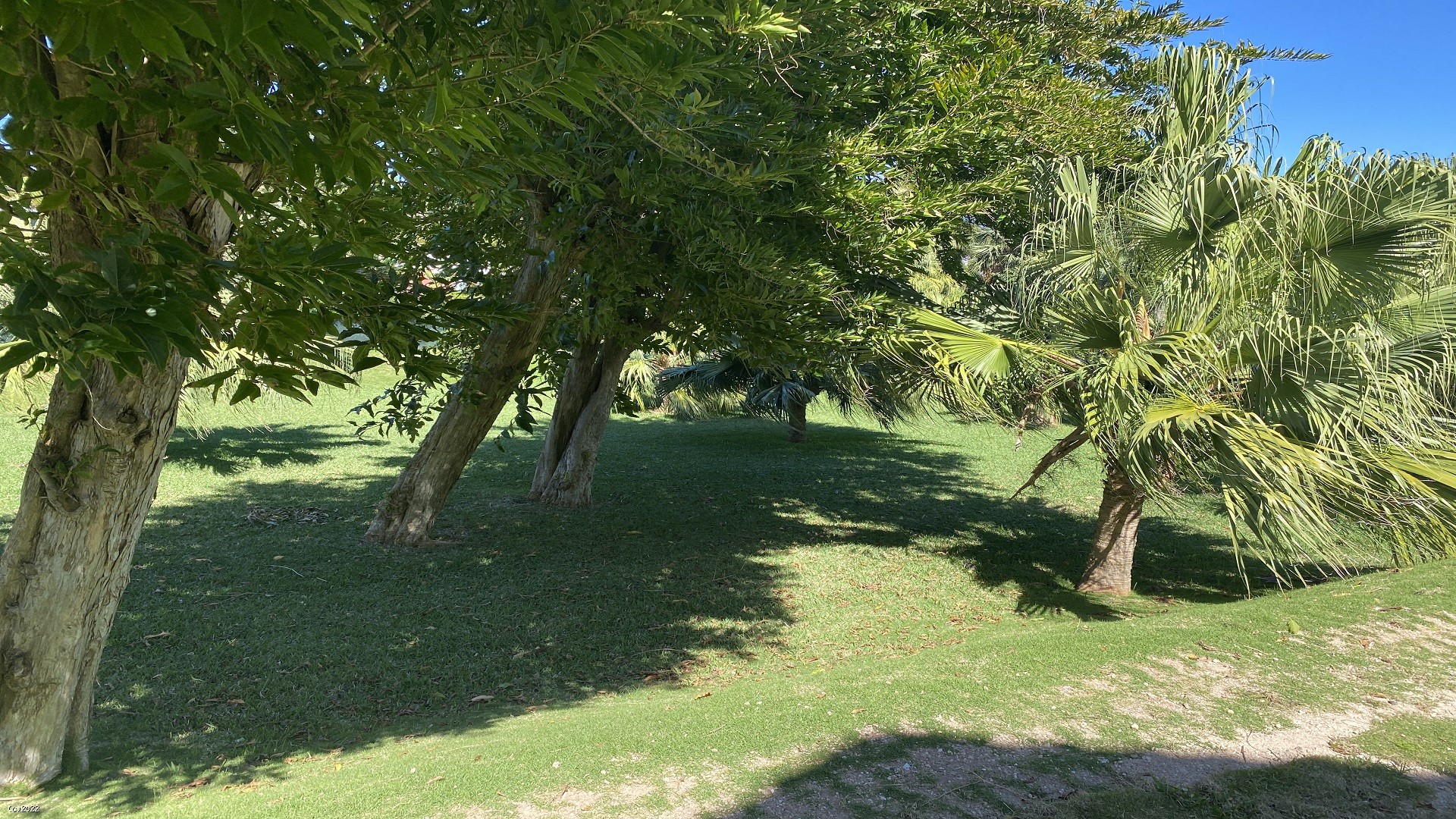 5 Garden Grove