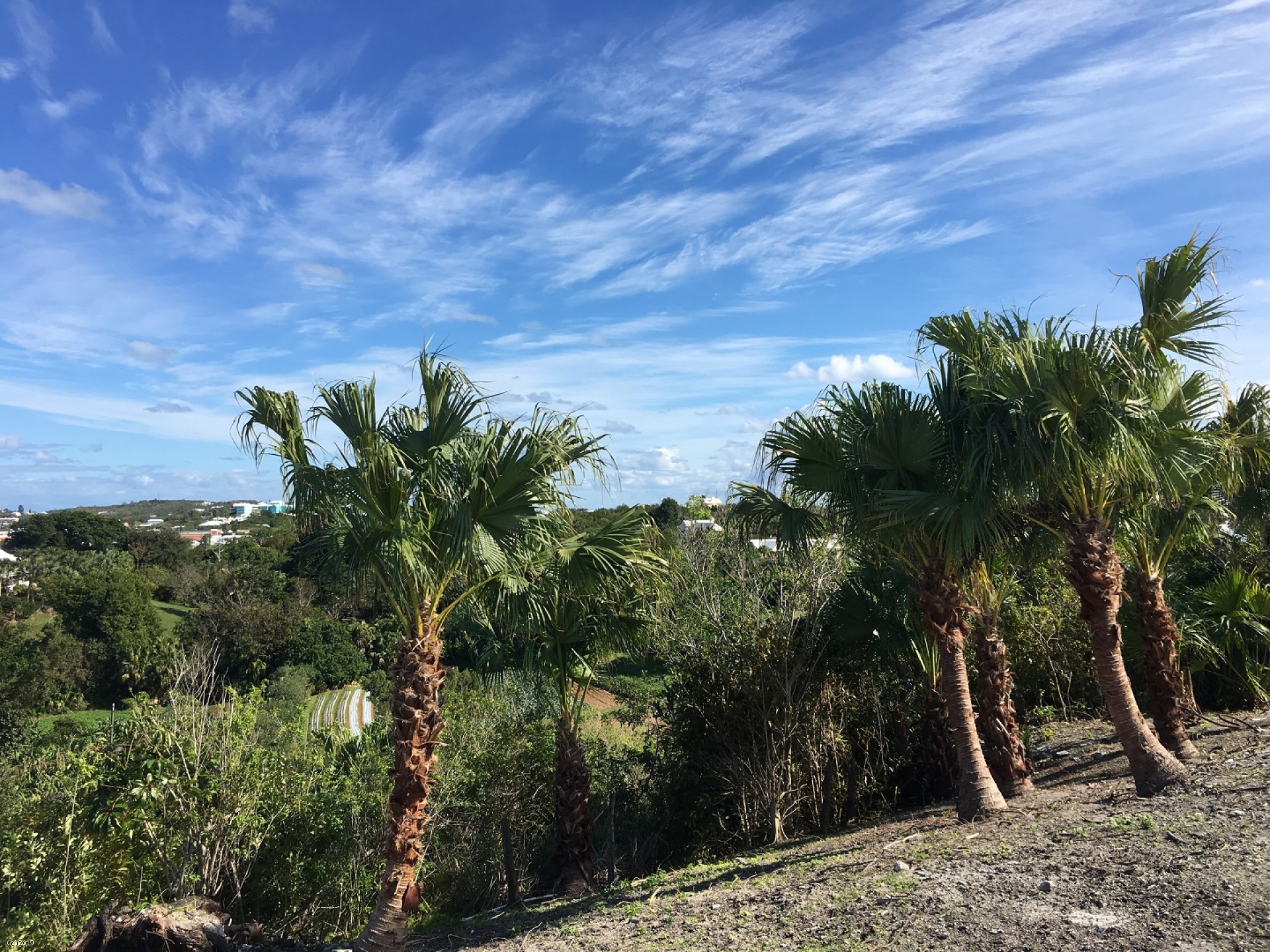 Lines Estate Road Lot 2